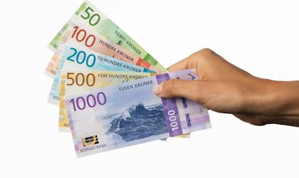 Bilde av norske sedler