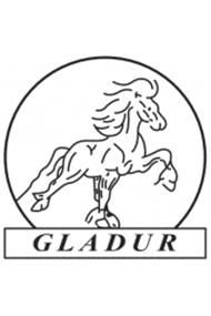 Logo vinner 18. des Gladur islandshestlag